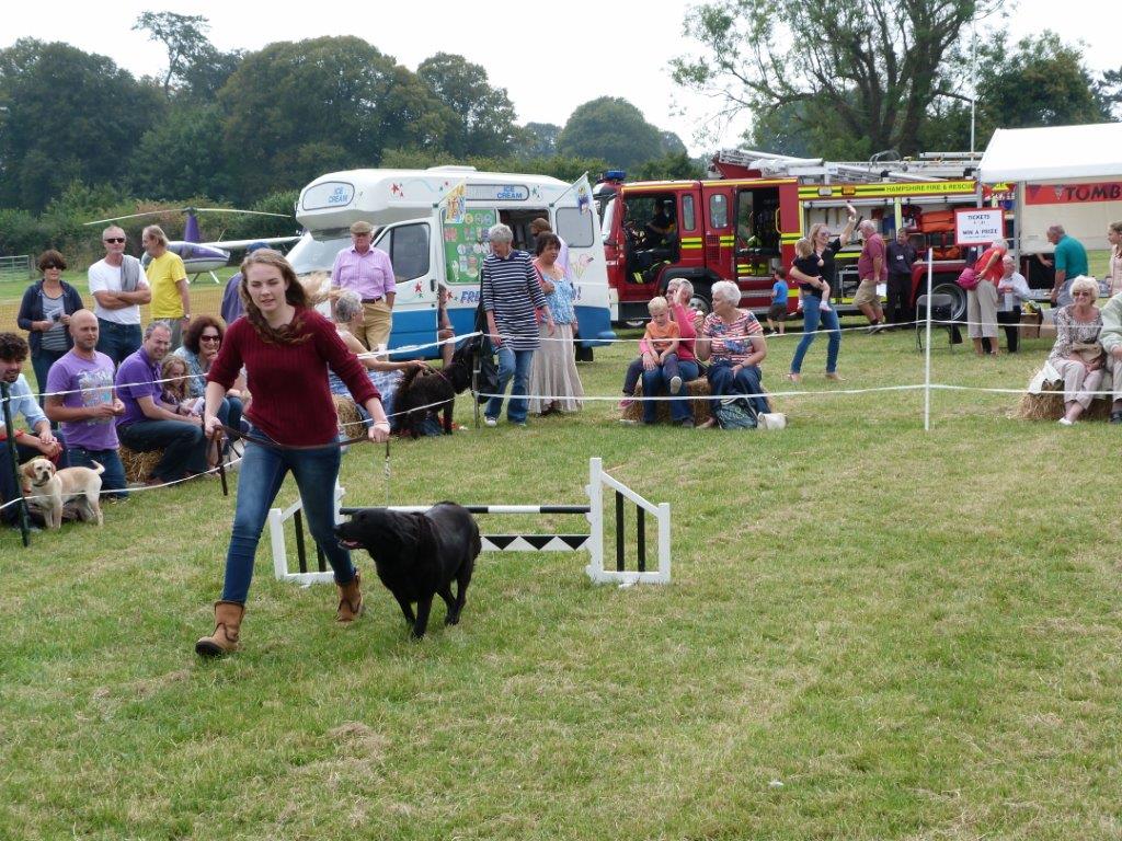 Dog Show Bighton